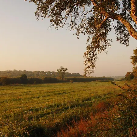 Quinta Do Archino Farmház