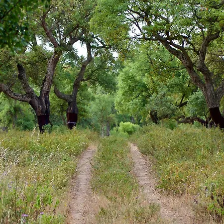Quinta Do Archino Farmház Alenquer