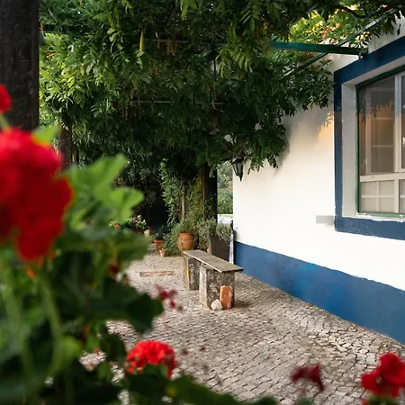 Quinta Do Archino Фермерский дом