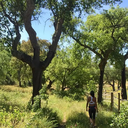 Alloggio per agriturismo Quinta Do Archino Alenquer