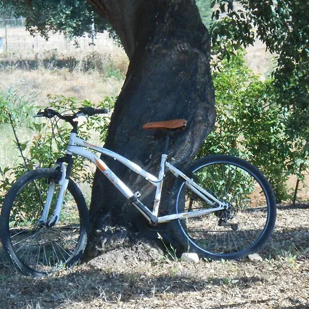 Quinta Do Archino Alenquer