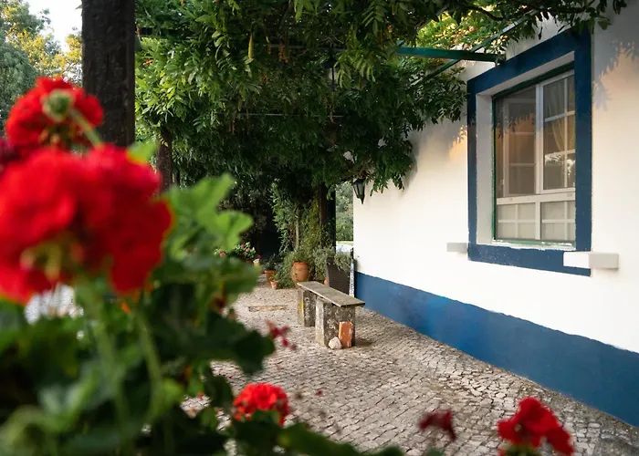 Quinta Do Archino ファームステイ