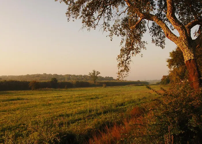 Quinta Do Archino ファームステイ