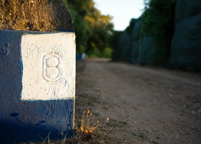 Farm stay Quinta Do Archino