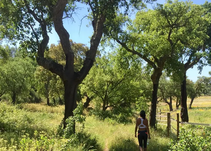 ファームステイ Quinta Do Archino アレンケル