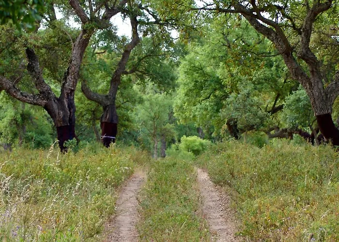 Quinta Do Archino ファームステイ アレンケル
