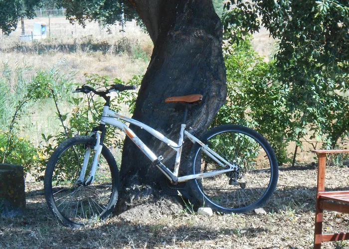 Quinta Do Archino アレンケル